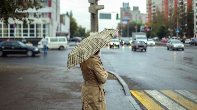До +7 и дождь. Какая погода ждет Алтайский край 11 апреля - ИА Амител, 11.04.2026