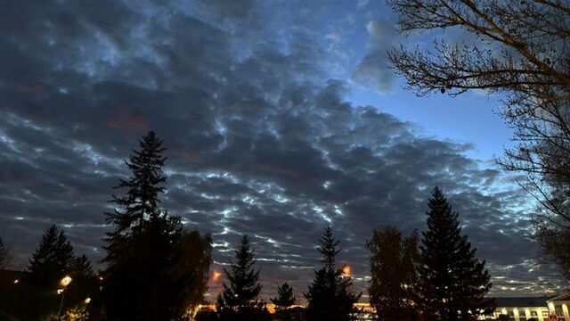 Такой день. Начало пожароопасного сезона и дело депутата АКЗС Клюшниковой в суде - ИА Амител, 16.04.2026