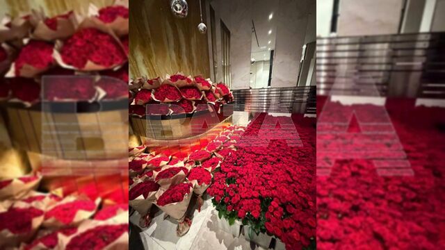 Россиянин для возлюбленной купил 20 тысяч роз, а она отказалась от них из-за цвета - ИА Амител, 20.04.2026