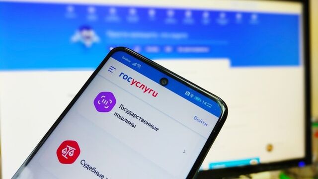 Подтвердить гражданство ребенка по рождению можно будет через "Госуслуги" - ИА Амител, 25.04.2026