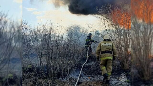 Пожар из-за неосторожного обращения с огнем уничтожил 2,5 га травы в Алтайском крае - ИА Амител, 28.04.2026
