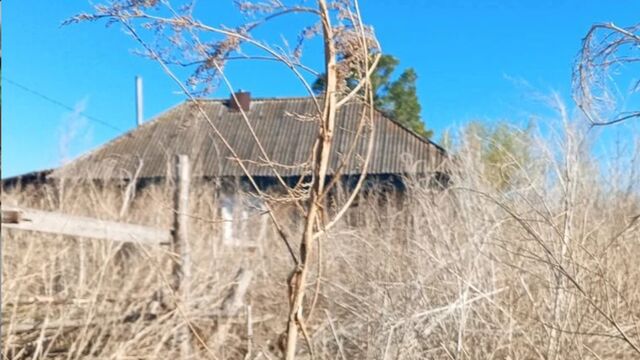 Жительница Алтайского края убила девушку из ревности к мужу и записала расправу на телефон - ИА Амител, 29.04.2026