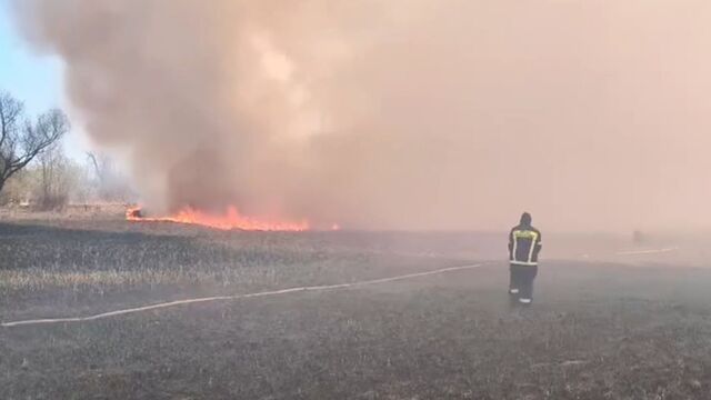 В пригороде Барнаула пожар охватил три гектара сухой травы - ИА Амител, 29.04.2026