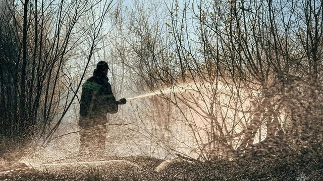Жителей Алтайского края предупредили о высокой пожароопасности - ИА Амител, 02.05.2026