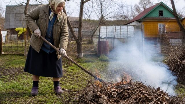 Россиян предупредили о штрафе до 50 тысяч рублей за сжигание листвы на даче - ИА Амител, 03.05.2026