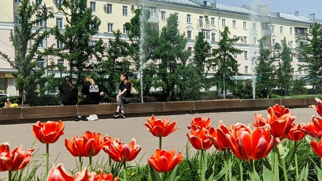 До +17. Какая погода ждет Алтайский край 17 мая - ИА Амител, 17.05.2026