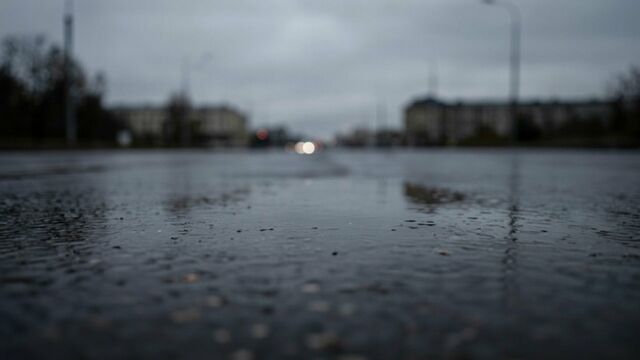 Пасмурно и мокро. Какая погода будет в июне на Алтае и сколько ожидается градусов - ИА Амител, 21.05.2026