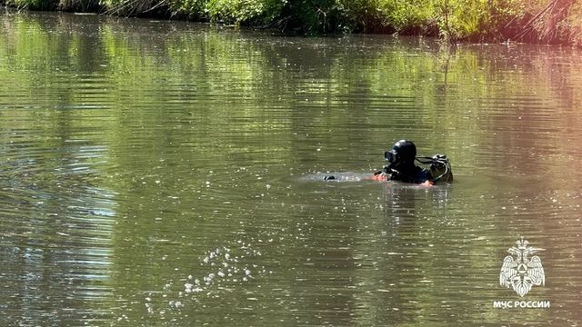 Тело утонувшей девушки нашли в пруду Горно-Алтайска - ИА Амител, 29.06.2026