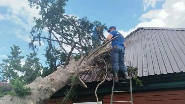 В Алтайском крае спасатели продолжают устранять последствия урагана. Фото - ИА Амител, 23.07.2026