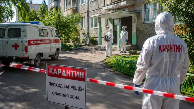 В городе-курорте Белокурихе ввели карантин из-за нового случая бешенства в многоэтажке - ИА Амител, 24.07.2026