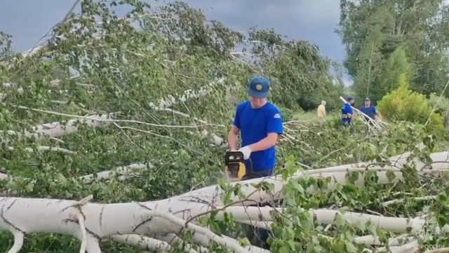 В Алтайском крае привлекли 326 человек для помощи Краснощековскому району после "урагана" В Алтайском крае привлекли 326 человек для помощи Краснощековскому району после "урагана" - ИА Амител, 25.07.2026