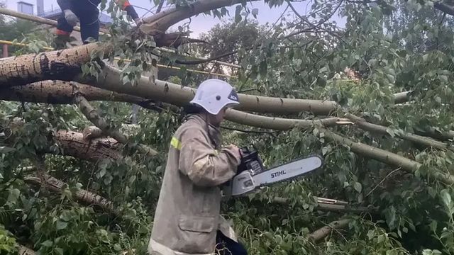 Ураган в Барнауле повредил 20 автомобилей и оставил без газа девять домов - ИА Амител, 26.07.2026