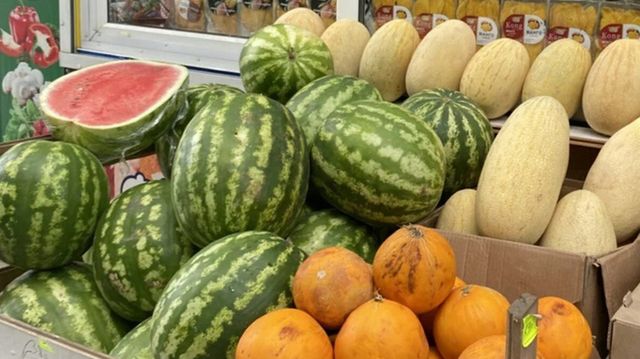 Биолог назвала простой способ проверить арбуз на нитраты в домашних условиях Биолог назвала простой способ проверить арбуз на нитраты в домашних условиях - ИА Амител, 14.08.2026