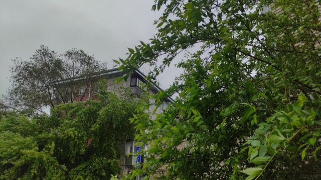 До +26. Какую погоду ждать в Алтайском крае 24 августа - ИА Амител, 24.08.2026