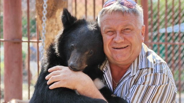 Директор барнаульского зоопарка призвал не отстреливать медведей, а кормить с вертолетов - ИА Амител, 25.08.2026