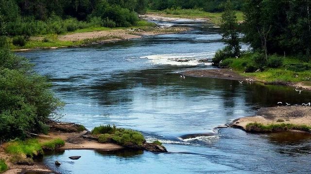 Гидрометцентр сообщил об опасно низком уровне воды в реках Алтайского края - ИА Амител, 28.08.2026