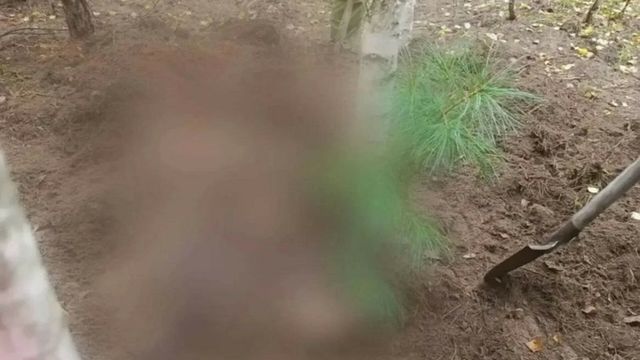 Тела двух женщин со следами нападения медведя обнаружили в Красноярском крае - ИА Амител, 03.09.2026