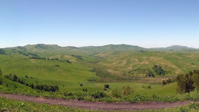 Такой день. Спасение грибника и медведь, убивший скот в Чарышском районе Такой день. Спасение грибника и медведь, убивший скот в Чарышском районе - ИА Амител, 06.09.2026