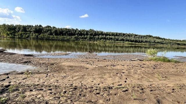 Алтайская семья нашла зуб мамонта в реке Чарыш - ИА Амител, 21.09.2026