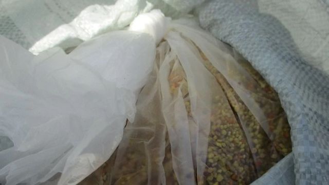 В Алтайском крае запретили ввоз пыльцы, меда и кисломолочной продукции из Казахстана - ИА Амител, 22.09.2026