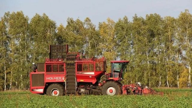 В Алтайском крае убрали 700 тысяч тонн сахарной свеклы - ИА Амител, 01.10.2026