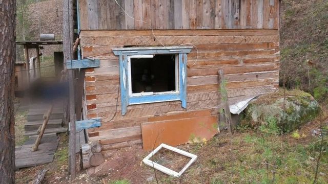 В Сибири медведь растерзал мужчину, который считался пропавшим без вести - ИА Амител, 12.10.2026