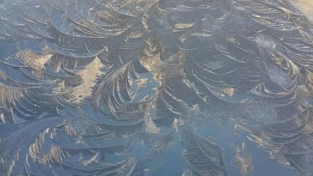 Октябрьский иней заметили барнаульцы ранним утром в городе - ИА Амител, 16.10.2026