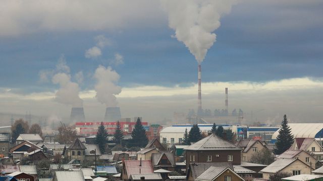 Белым-бело, но ненадолго. Как Барнаул встретил первое снежное утро этой осени - ИА Амител, 16.10.2026