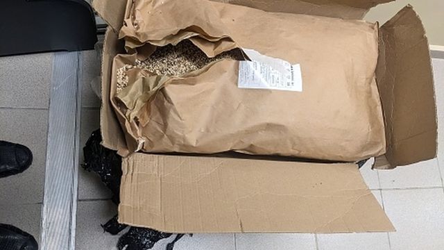 В Домодедово обнаружили 30 кг радиоактивных сушеных грибов в багаже пассажира - ИА Амител, 19.10.2026