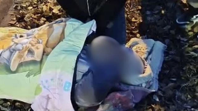 В Барнауле водитель иномарки сбил первокурсницу возле Алтайской академии гостеприимства В Барнауле водитель иномарки сбил первокурсницу возле Алтайской академии гостеприимства - ИА Амител, 28.10.2026