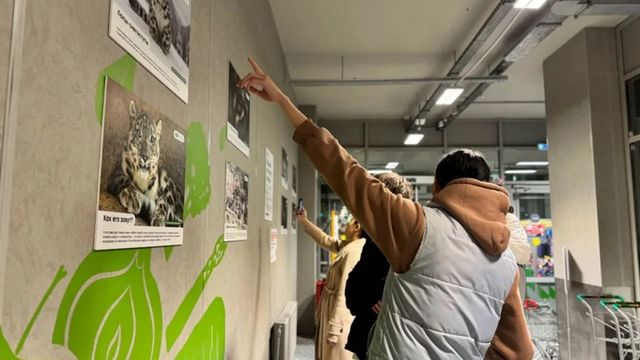 Последние хозяева гор. В Казани открыли выставку в поддержку снежных барсов - ИА Амител, 31.10.2026