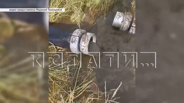 Жители Лысковского района задыхаются от запаха навоза, который разливает в поле местная агрофирма - Нижний Новгород с огоньком, 10.07.2026