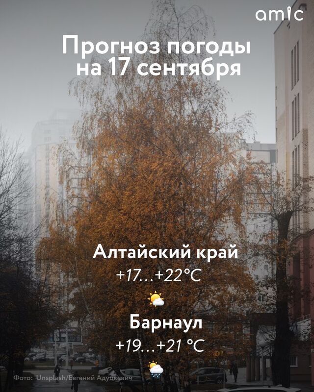 От +17 до +22 градусов в Алтайском крае ожидается 17 сентября. Преимущественно без осадков, местами по югу небольшие дожди. В утренние часы местами туман. Ветер северо-восточный, 2-7 м/с, местами порывы до 12 м/с. - Amic.ru Новости Алтайского края, 17.09.2025