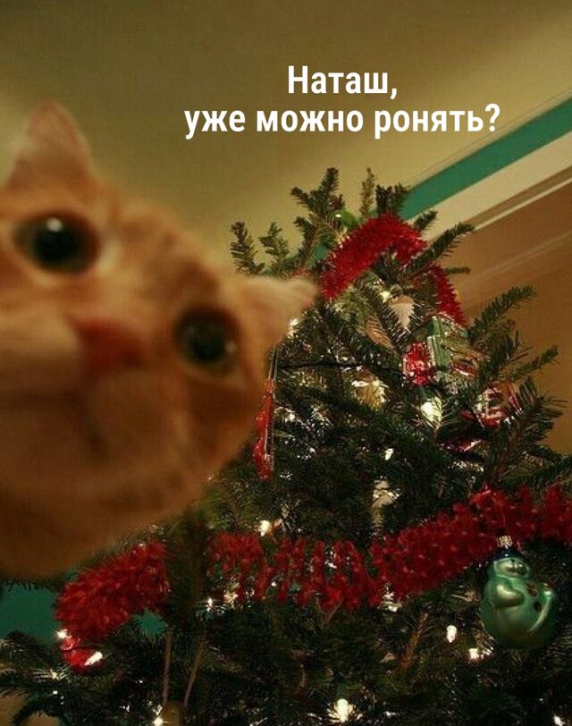 Наступил последний месяц осени Синоптики рассказали, к какой погоде стоит готовиться в ноябре. Наступил последний месяц осени Синоптики рассказали, к какой погоде стоит готовиться в ноябре. - НН.РУ | Новости Нижнего Новгорода, 01.11.2025