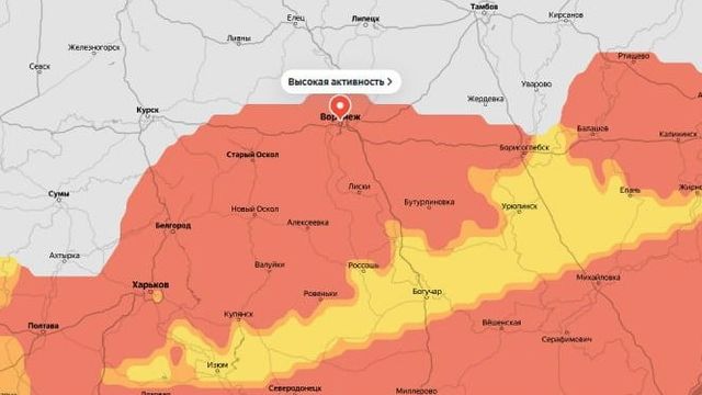 Выяснилось, когда в Воронеже закончит цвести амброзия - МОЁ! Online. Все новости Воронежа, 18.08.2026