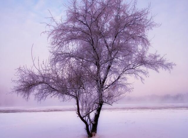 В Ростове ожидается понижение температуры до -7 °C и гололед - ДОН24, 04.02.2025