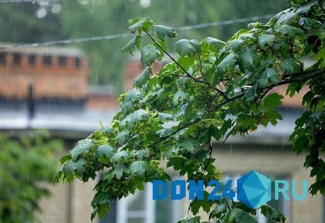 Дождь с грозой ожидается в Ростове - ДОН24, 19.05.2025