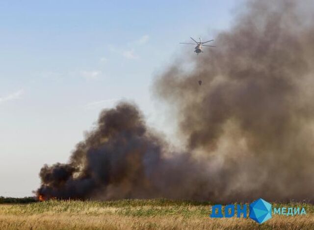 Лесной пожар потушили в Ростовской области - ДОН24, 05.07.2025