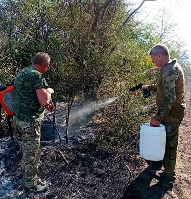 На борьбу с пожарами привлекли 150 донских казаков-пожарных - ДОН24, 18.07.2025