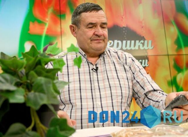 Донской агроном рассказал, какие арбузы для здоровья самые вредные - ДОН24, 30.07.2025