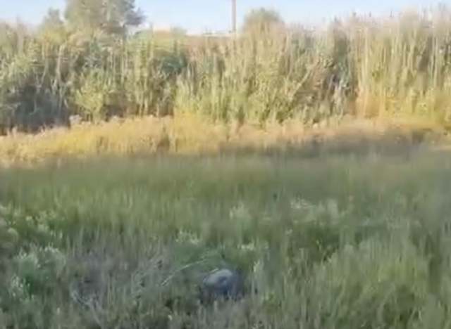 В Батайске ликвидировали свалку вдоль канала - ДОН24, 31.07.2025