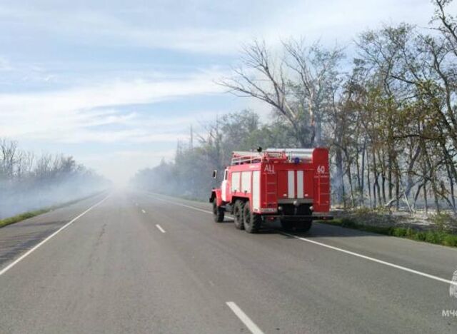 На Дону огнеборцы тушат пожар вдоль автодороги Ростов – Волгодонск - ДОН24, 01.08.2025