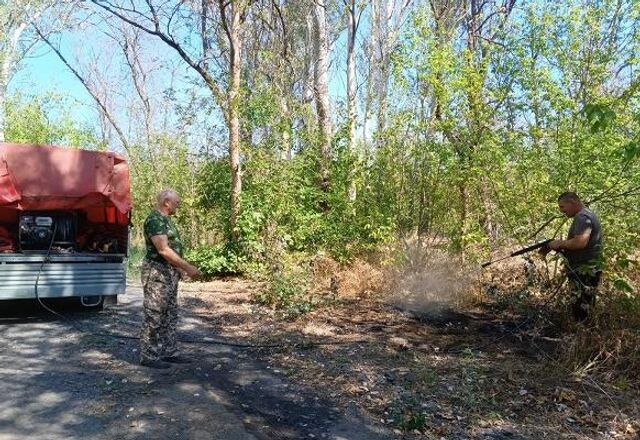 В Ростовской области задержали подозреваемого в поджоге леса - ДОН24, 07.08.2025