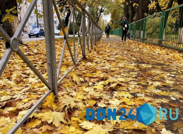 На востоке и севере Ростовской области ожидаются заморозки - ДОН24, 16.09.2025