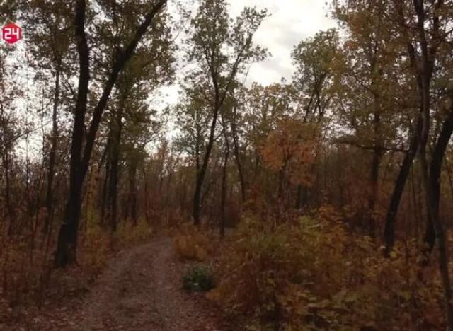 На повестке дня в Ростове На повестке дня в Ростове - ДОН24, 06.11.2025