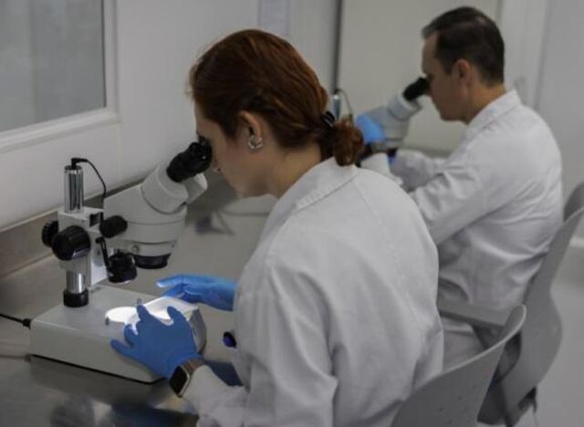 Биологи научились использовать комаров для борьбы с опасными заболеваниями - ДОН24, 12.11.2025