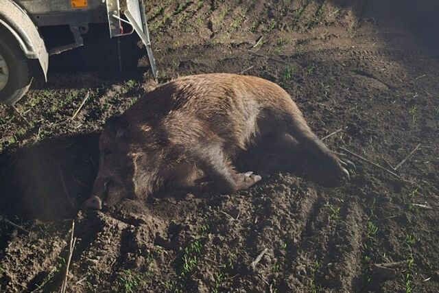 В Ростовской области задержали браконьера с тепловизором В Ростовской области задержали браконьера с тепловизором - ДОН24, 11.11.2025