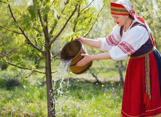 Чтобы финансы в дом привлечь – вылейте воду под молодое дерево: приметы на 16 апреля - ДОН24, 15.04.2026