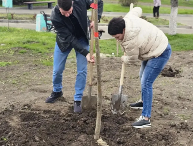 У красносулинского РДК высадили более 200 растений взамен спиленным деревьям - ДОН24, 15.04.2026