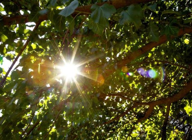 В Ростове 22 августа воздух прогреется до +35 °C, осадков не ожидается В Ростове 22 августа воздух прогреется до +35 °C, осадков не ожидается - ДОН24, 22.08.2026